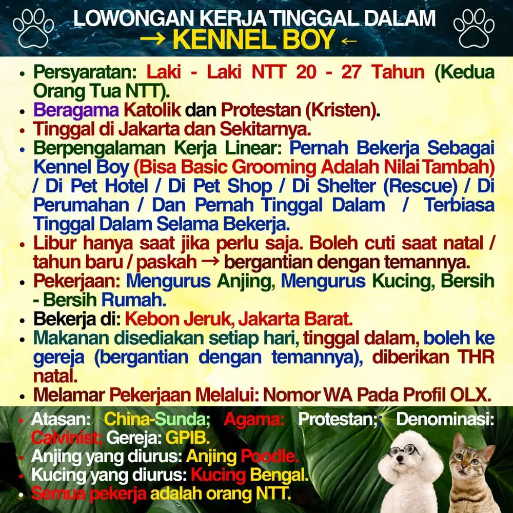 KENNEL BOY ASAL NTT ART LAKI - LAKI ASAL NTT AGAMA KATOLIK & PROTESTAN
