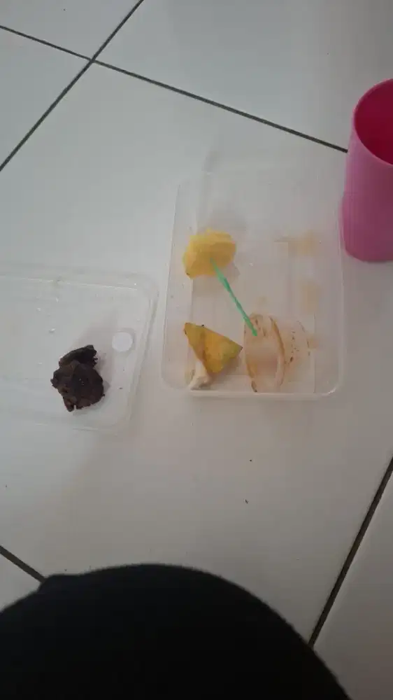 ART setengah hari