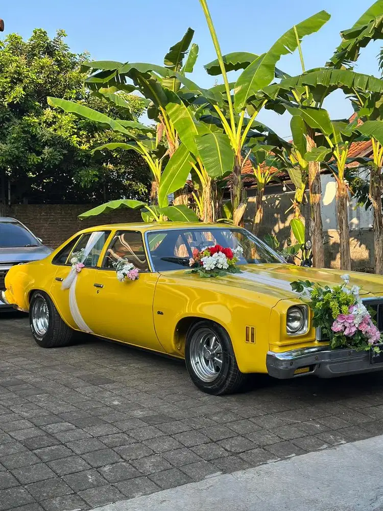 CHEVROLET NOVA 2 DOOR CLASSIC 1970