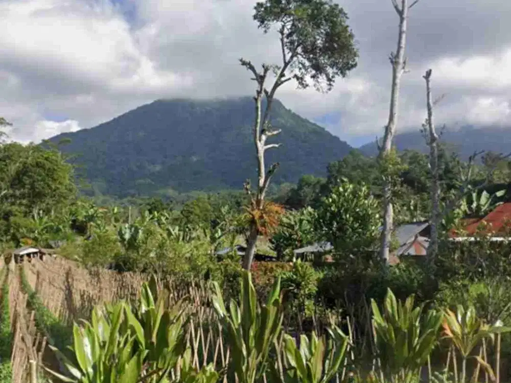 Tanah Kebun di Baturiti Bali Dekat Village Above The Clouds
