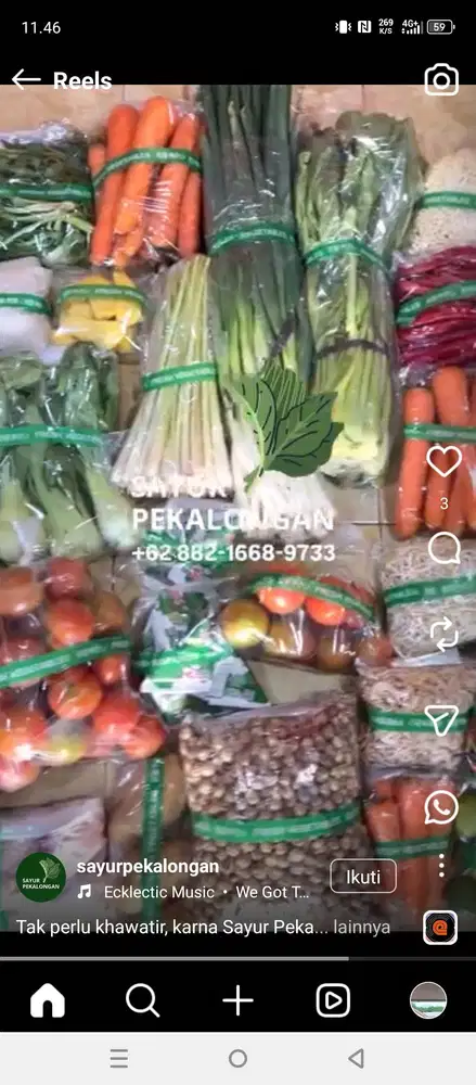 Tim Kirim Sayur