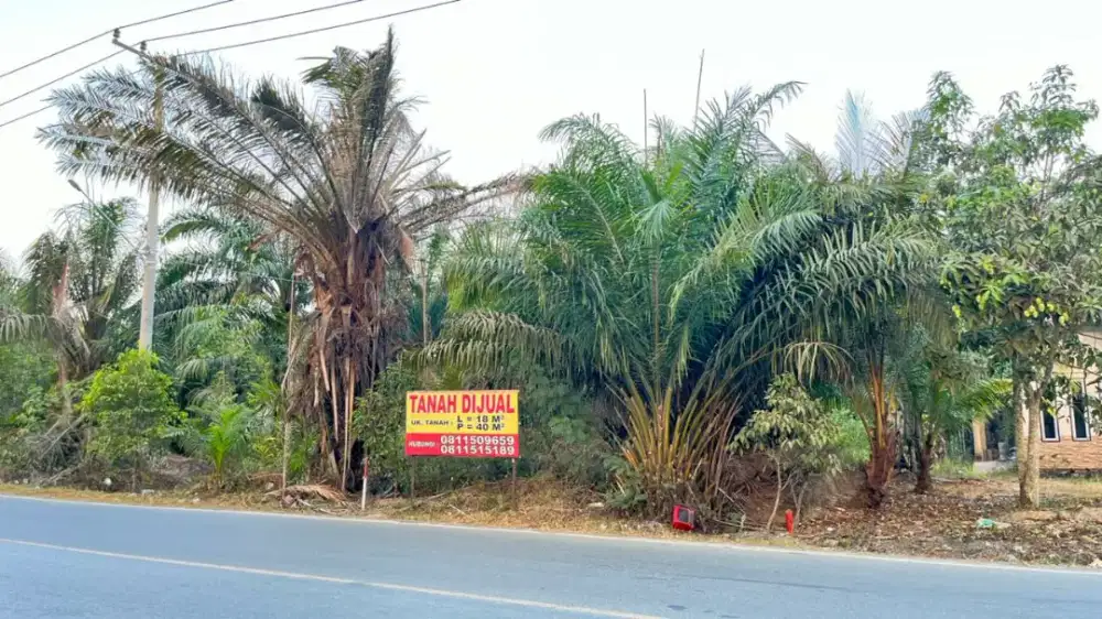 Jual tanah di sungai Sungai Dua, Kec. Simpang Empat, Kab. Tanah Bumbu