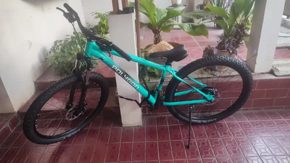 Polygon Cascade 2 2026 Frame Size S