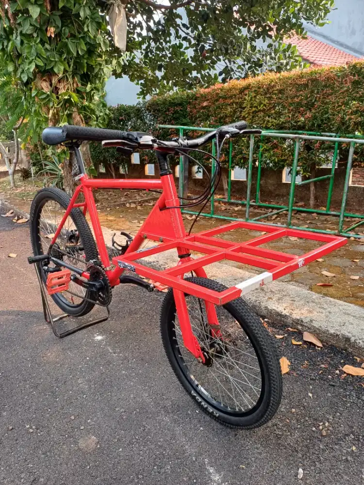 Sepeda Cargo Bike 26 / 20 Unik Rapih