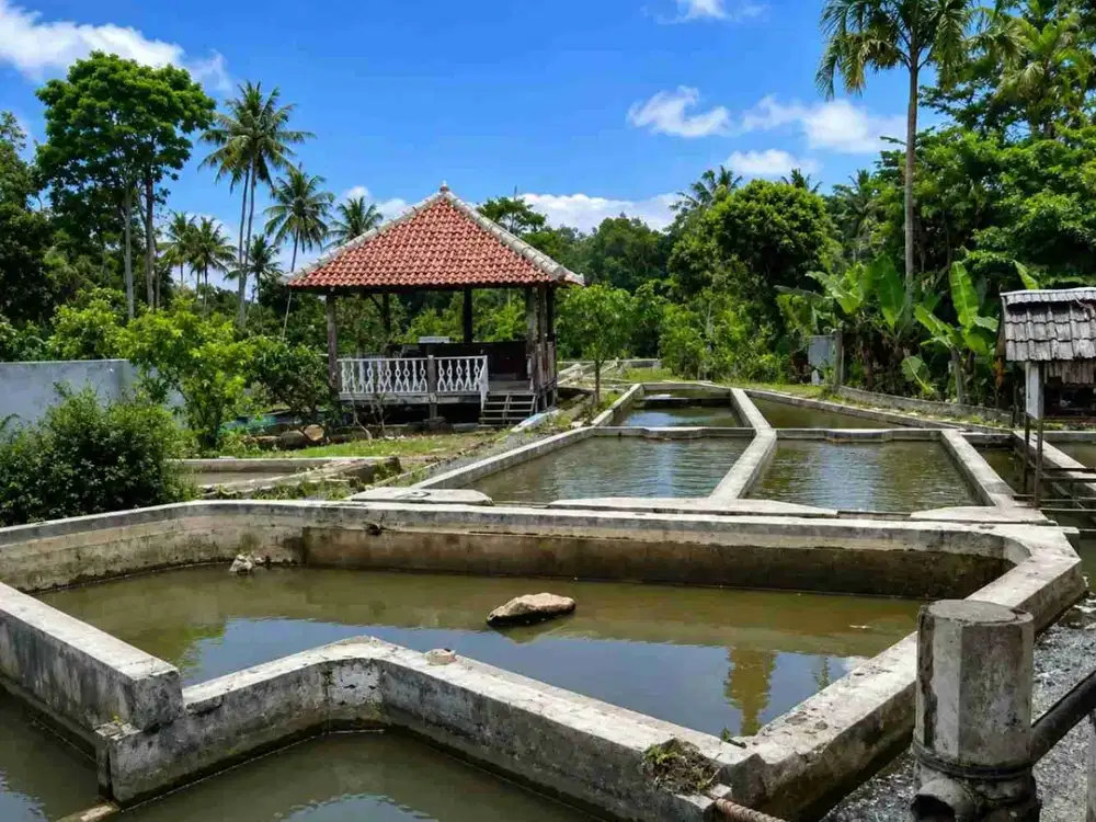 DIJUAL CEPAT – Lahan 3.368 m² + 22 Kolam Ikan Nol Jalan Ciawi