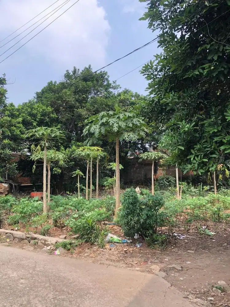 DIJUAL TANAH SHM