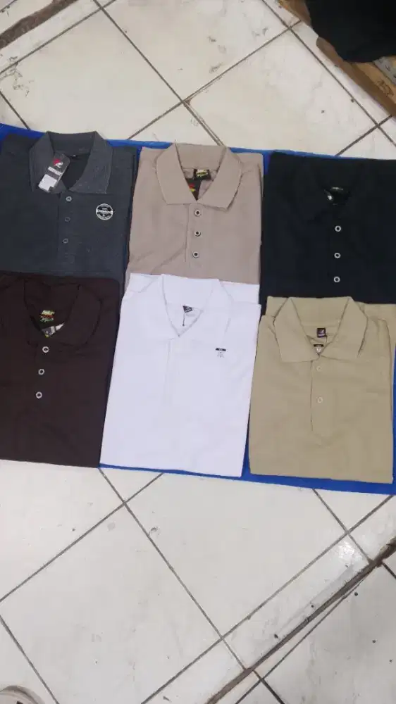 KERAH POLO POLOS
