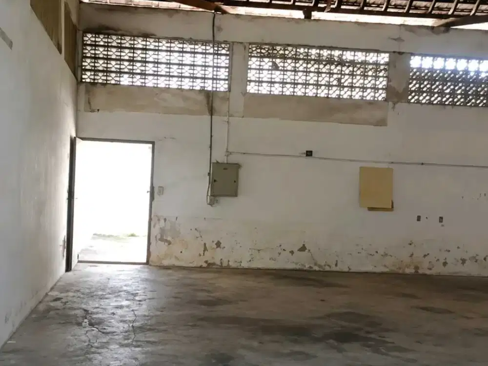 wonorejo selatan