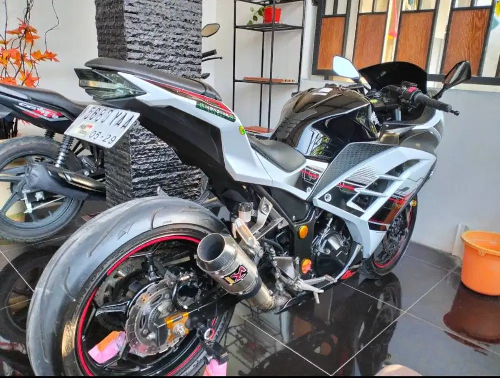Ninja fi SE ABS 2013