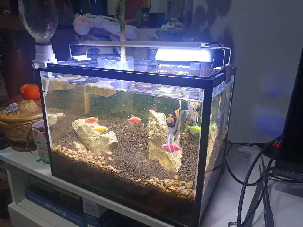 Dijual cepat aquarium fullset