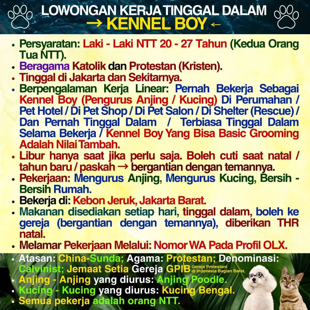 KENNEL BOY ASAL NTT ART LAKI - LAKI ASAL NTT AGAMA KATOLIK & PROTESTAN