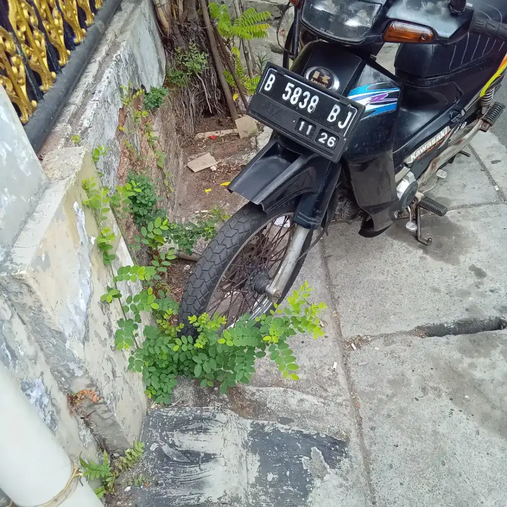 KAWASAKI KAZE R TH 2001