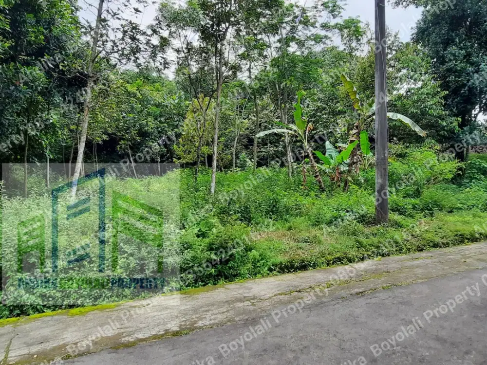 Tanah pekarangan  murah dekat jalan besar di boyolali