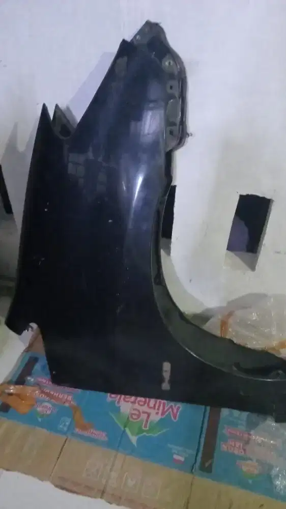 Fender inova lama 2008