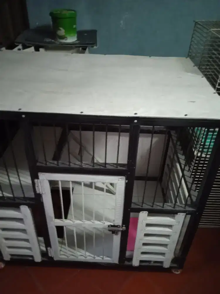 Kandang kucing ukuran 90 x 60 tinggi 80 kondisi bagus dan rapi