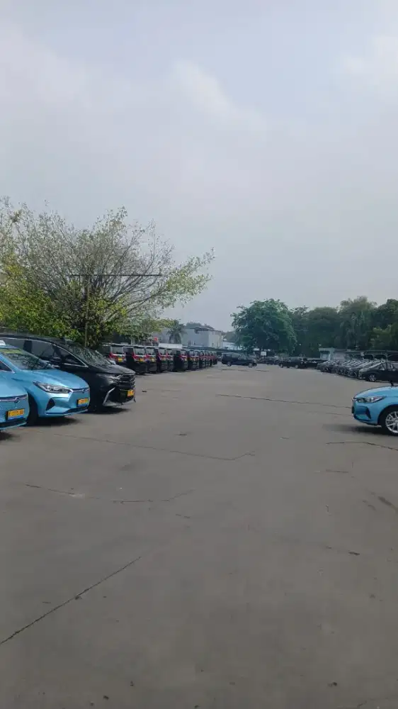Dibutuhkan driver taksi bandara