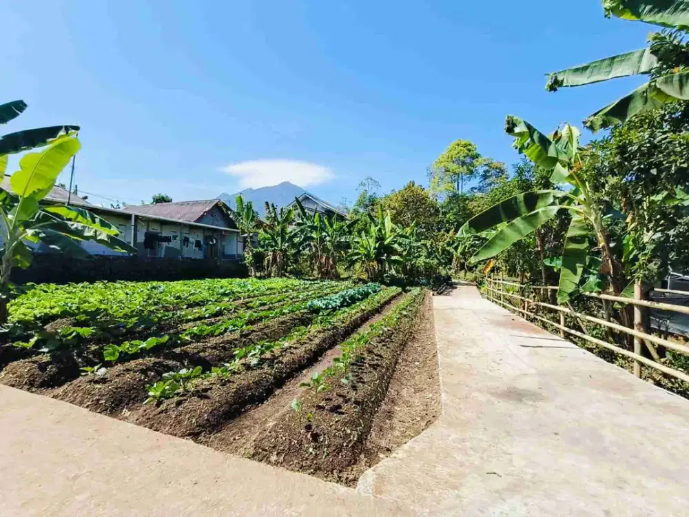 Jual tanah pekarangan murah Tawangmangu Karanganyar