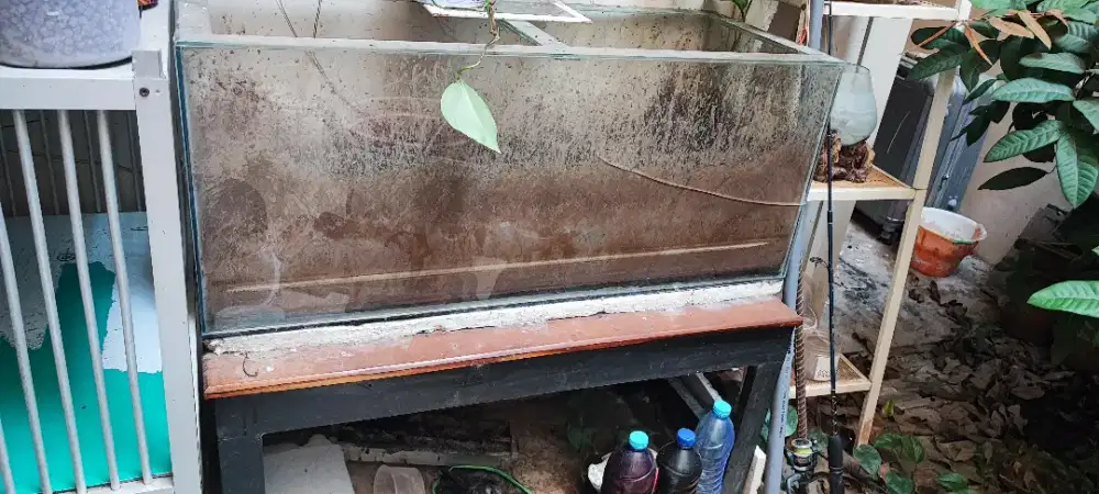 Jual aquarium dan meja