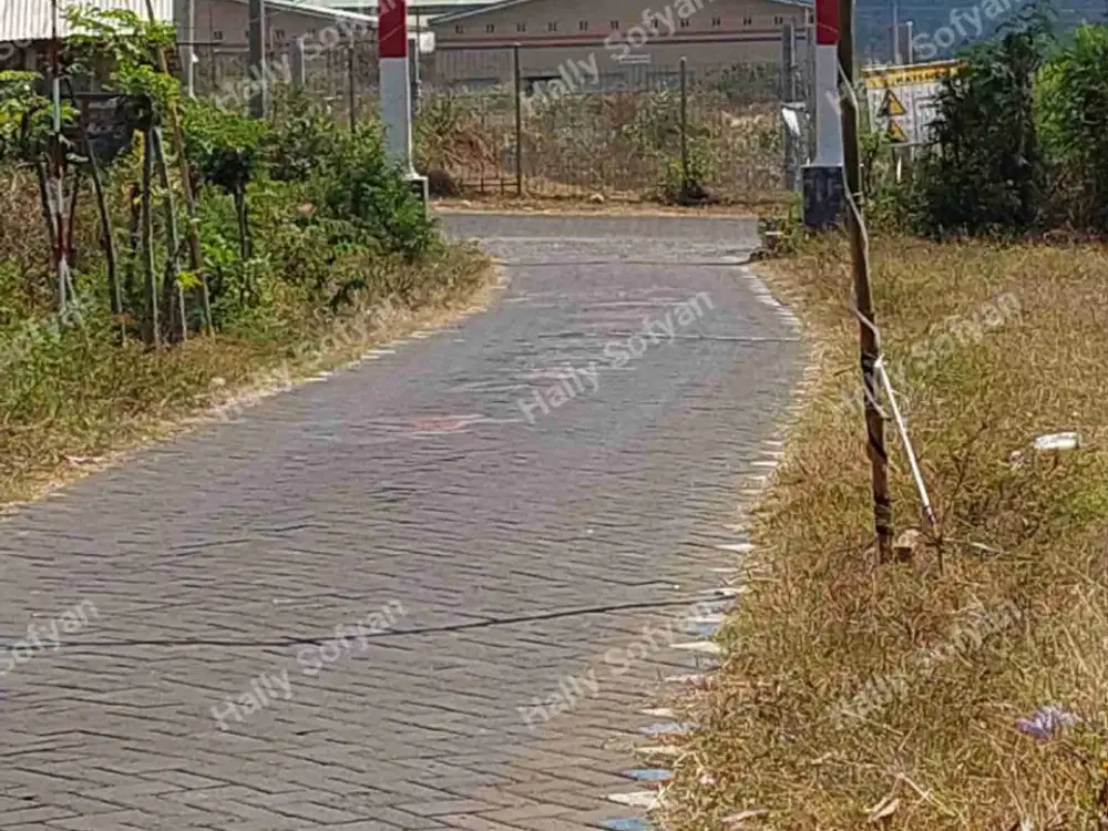 Di Jual Tanah Murah Di Lokasi Strategis Samping pt INKA Banyuwangi