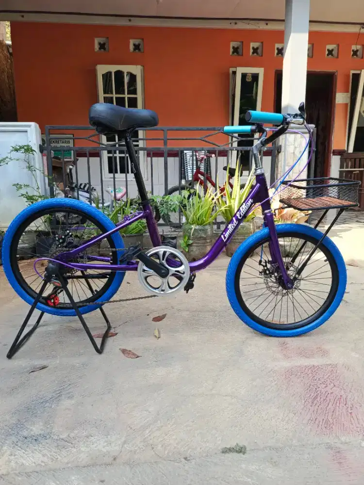 Sepeda Klasic modern