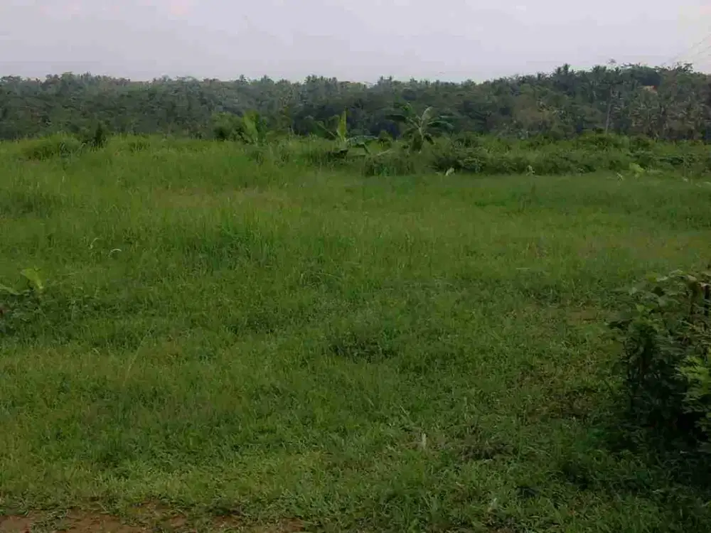 DIJUAL TANAH SIAP PAKAI BISA DIBANGUN VILLA/RESORT/HOTEL/KANTOR/TAMAN WISATA DLL DI PANDEGLANG BANTEN
