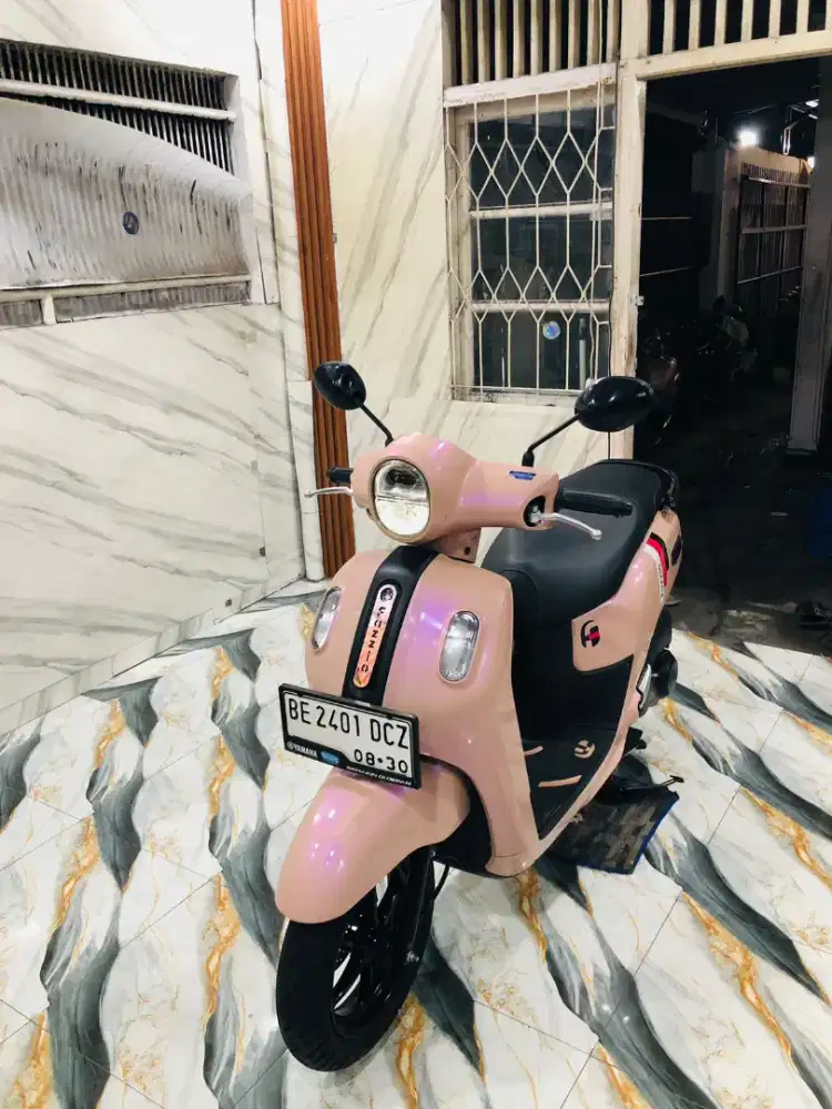 FAZZIO NEW LUXURY ISIMEWA 2026 Pajak Hidup