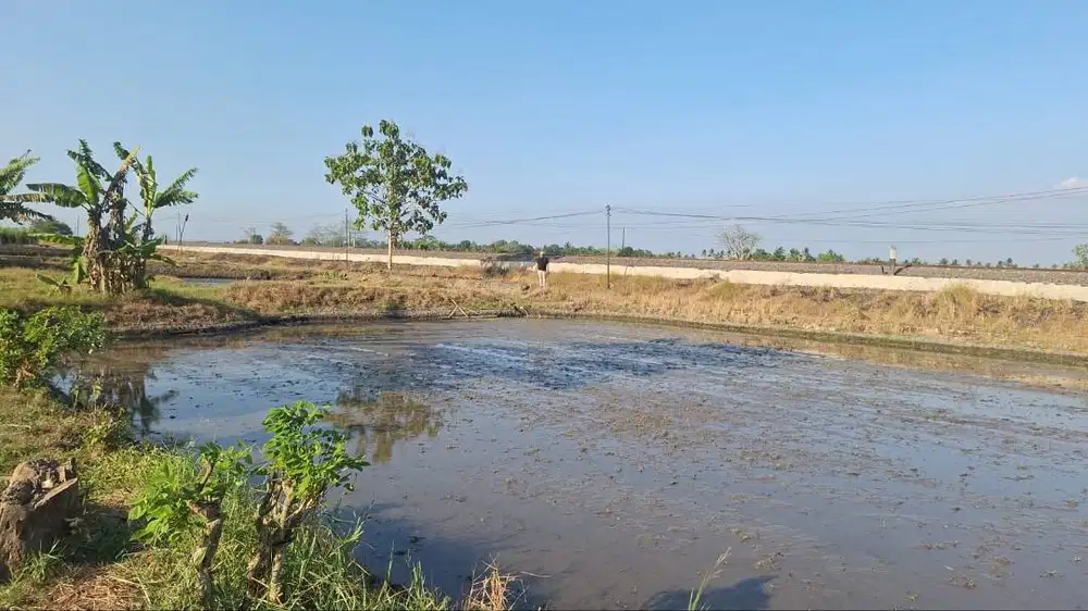 Tanah Dijual Strategis, Dekat Jalan Raya (+/- 50 M) Timur Penginapan B