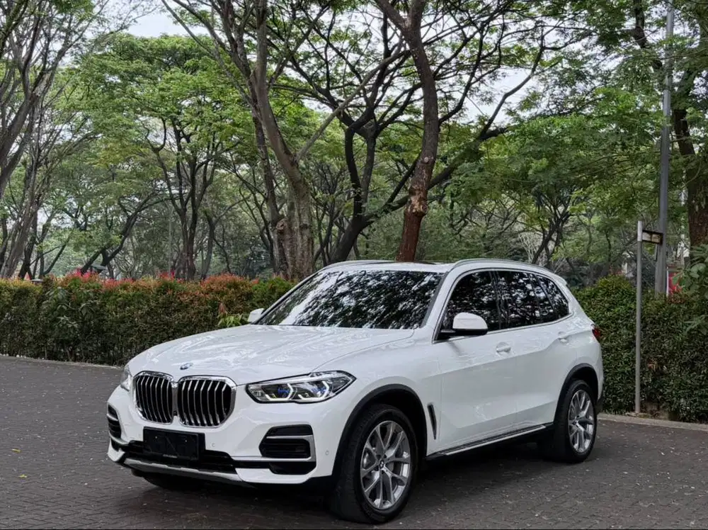 BMW X5 xDrive40i G05 xLine