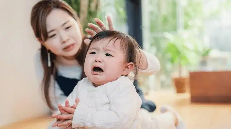 Dicari Sus Bayi 3 Bulan