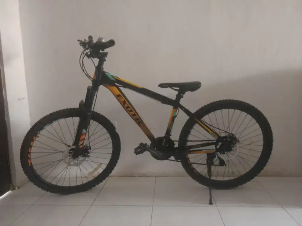 Sepeda Gunung exotic