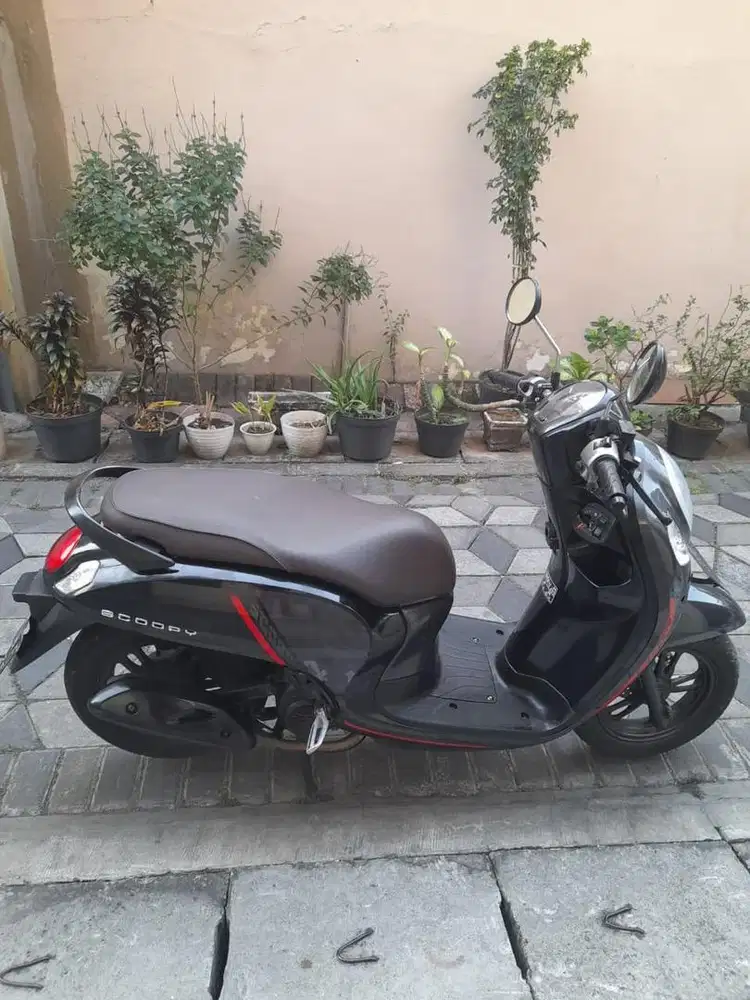 HONDA SCOOPY 2021