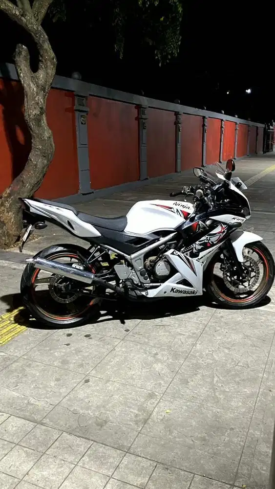 Ninja RR new 2013