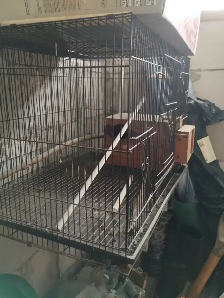 Kandang burung umbaran