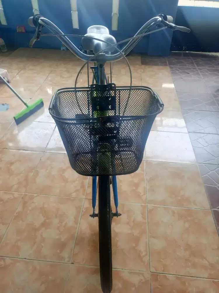 DIJUAL SEPEDA KERANJANG SANTAI WARNA HIJAU