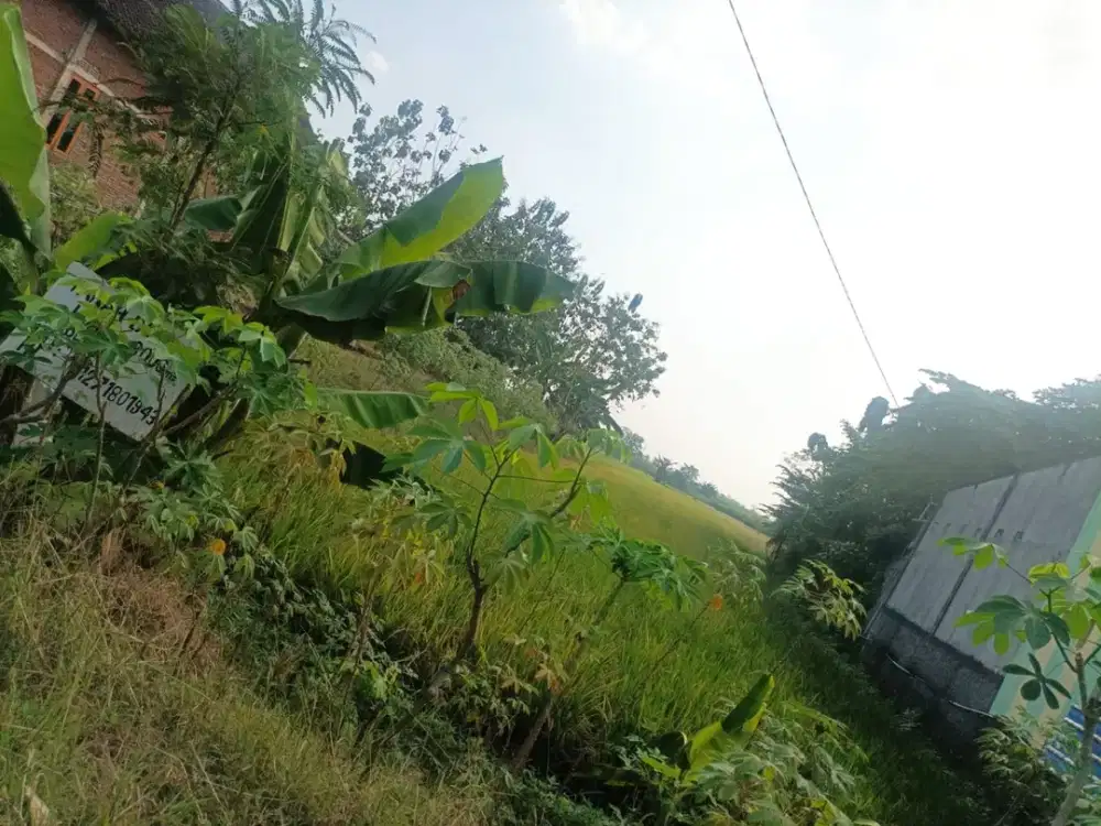 Dijual Tanah Strategis Pinggir Jalan Nasional – Ngawi