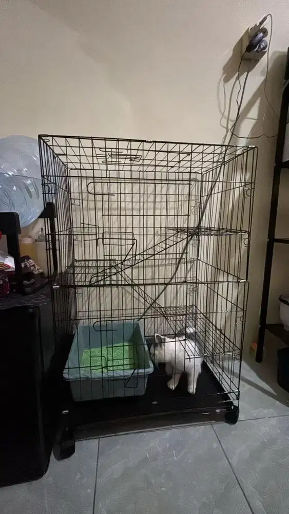 Kandang kucing 3tingkat