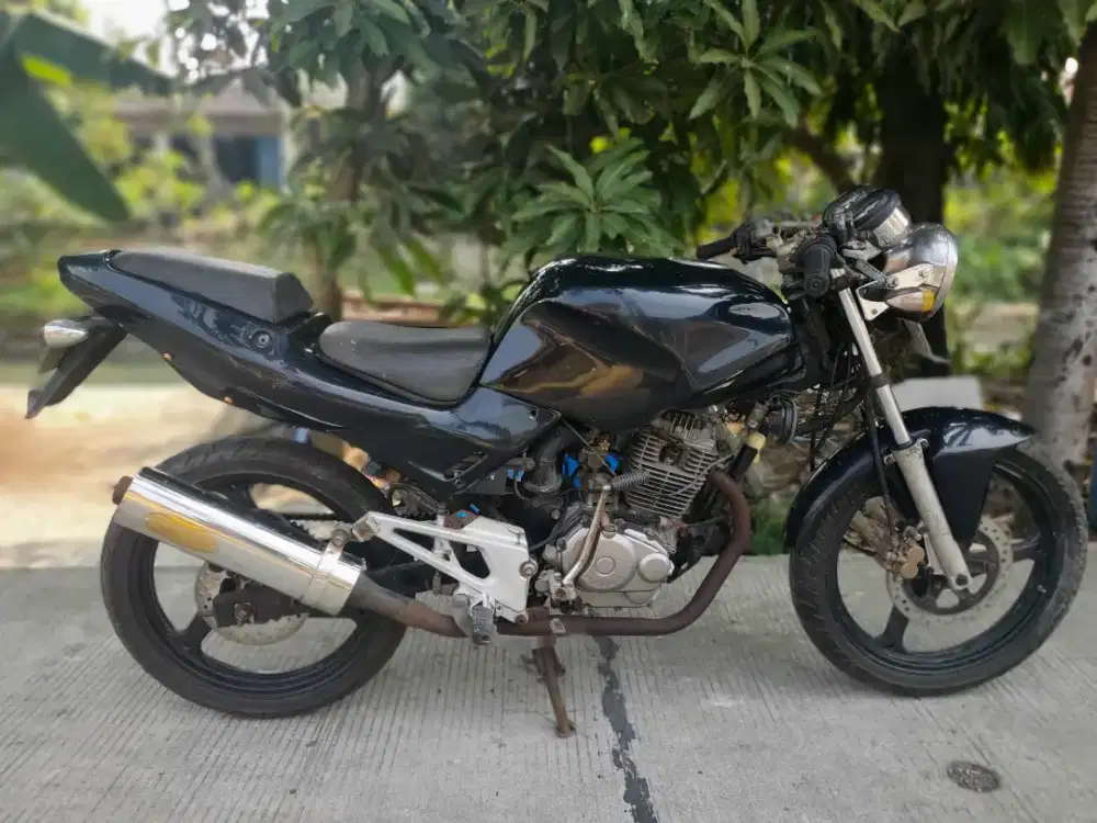 Gl Pro Modif full Tiger