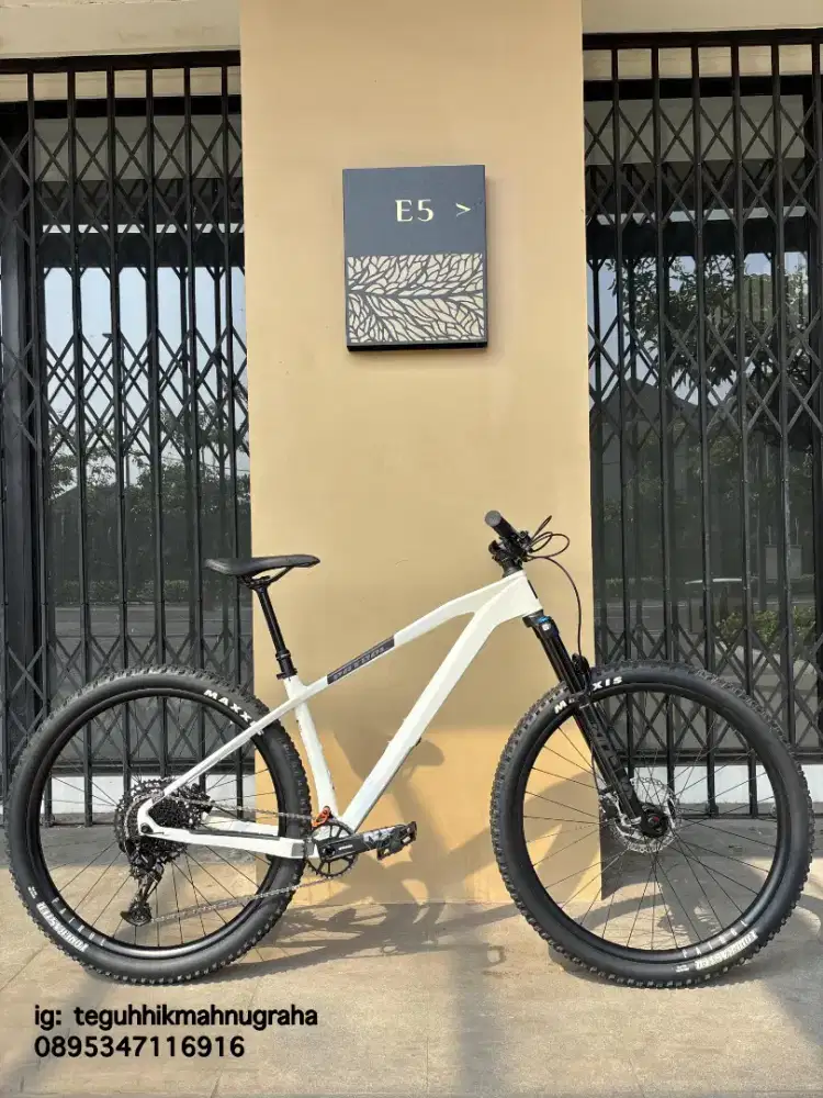 MTB Carbon 29' Patrol C091 (baru 1bln) Spek Sultan Polygon lewat