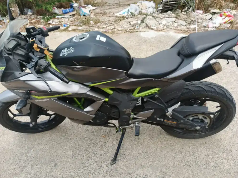 Kawasaki ninja 250 mono SL