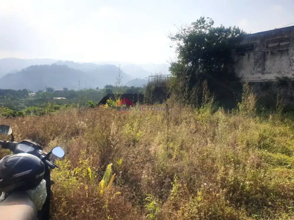 Tanah Perkebunan 3.012 M² View Bagus, Potensial Investasi