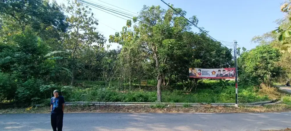 DIJUAL TANAH PEKARANGAN