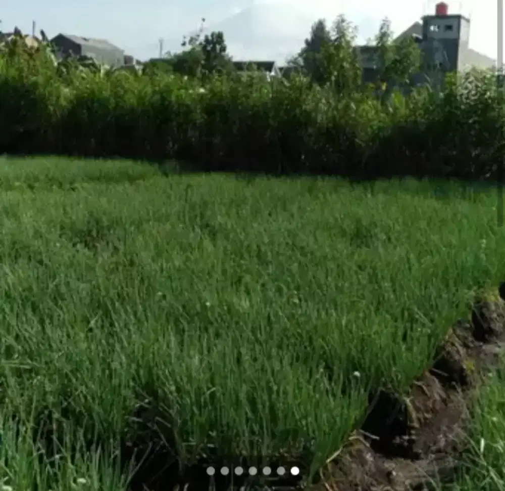 Dijual tanah seluas 1051m²