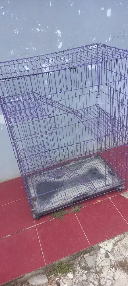 Kandang kucing second