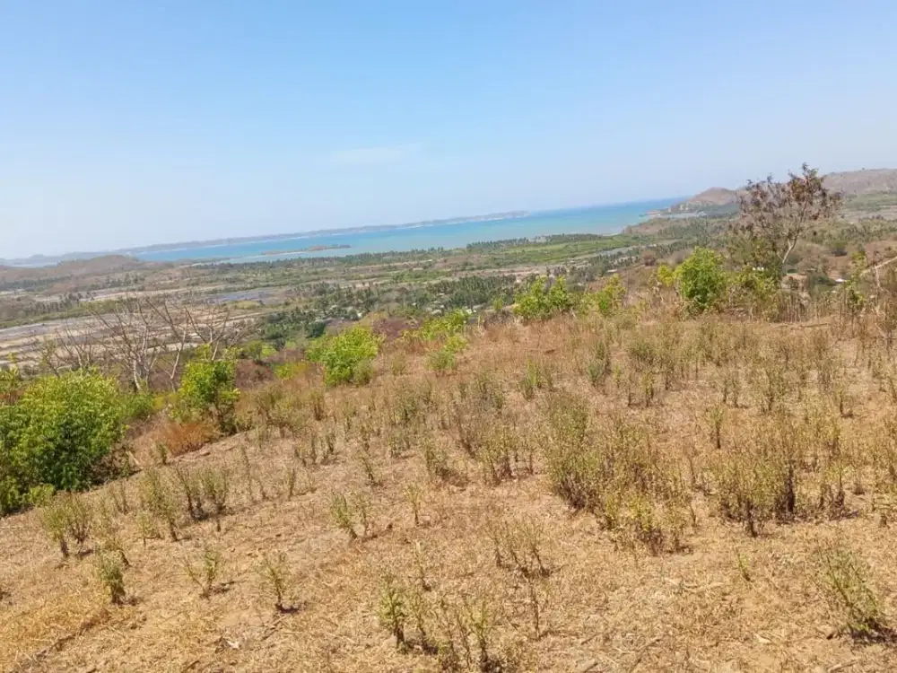 Tanah view laut di Awang