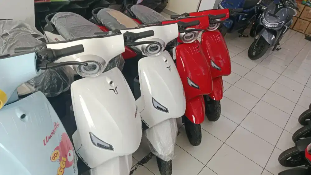 SEPEDA LISTRIK U WINFLY D66i01