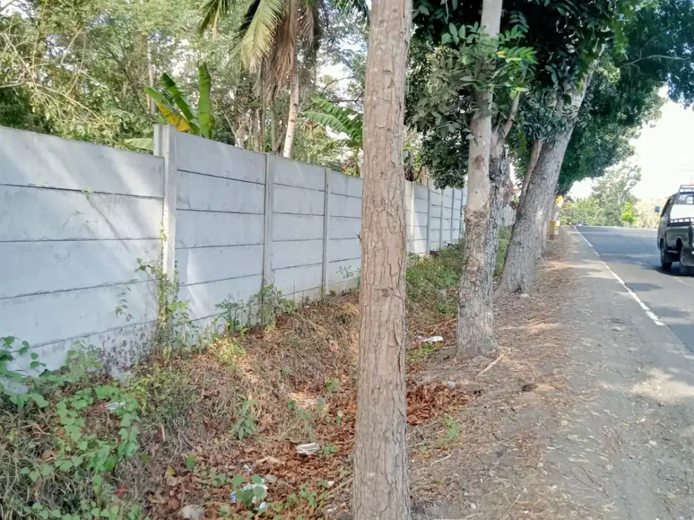TANAH LUAS 4,07 HEKTAR DI CANDIKUSUMA, JEMBRANA – PELUANG INVESTASI BESAR