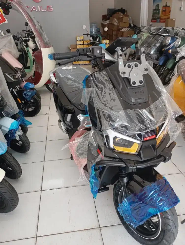 Sepeda listrik gf80L