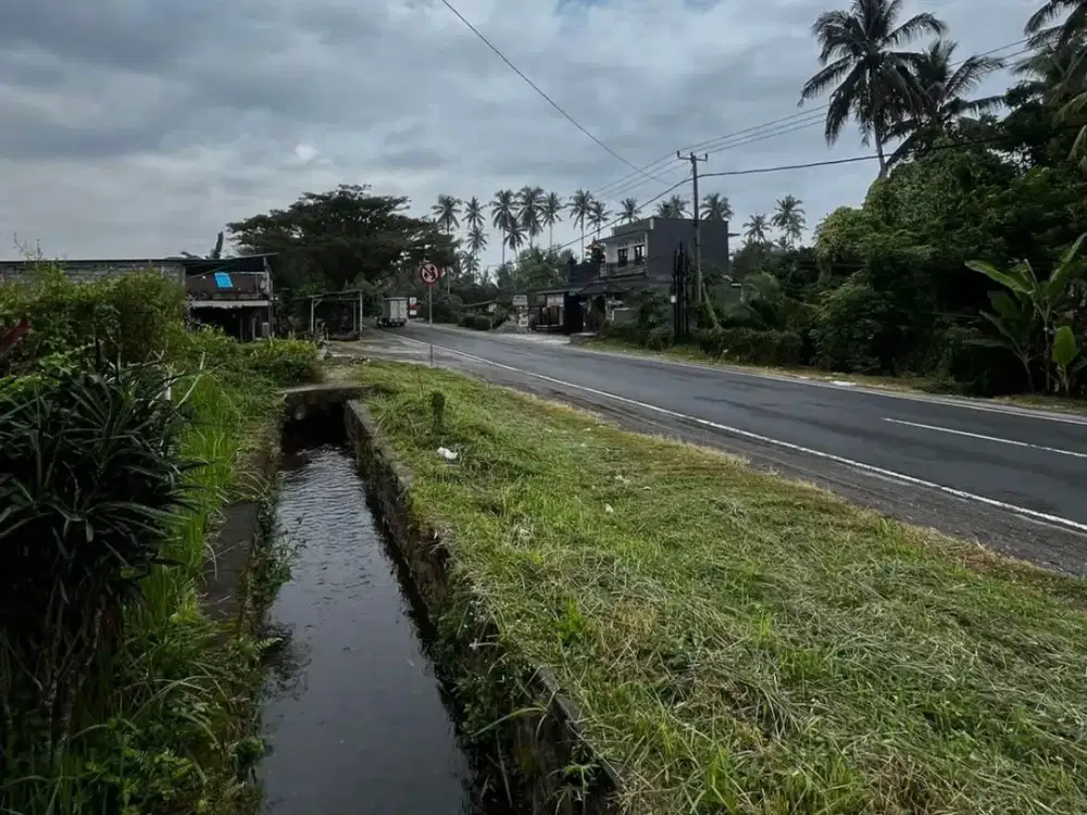 TANAH 15 ARE DI SELEMADEG BARAT – ZONA PINK, LOKASI STRATEGIS DEKAT BALIAN BEACH