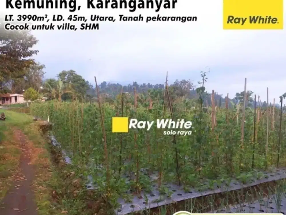 Dijual Tanah Kemuning, Ngargoyoso