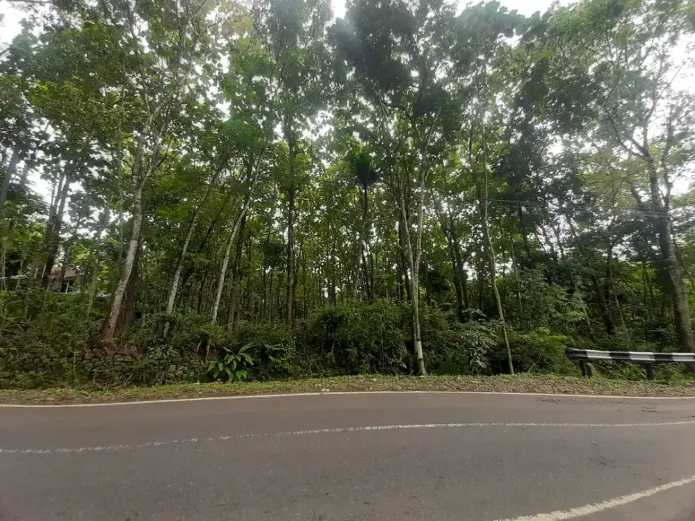 Dijual Tanah Murah Mojogedang, Karanganyar